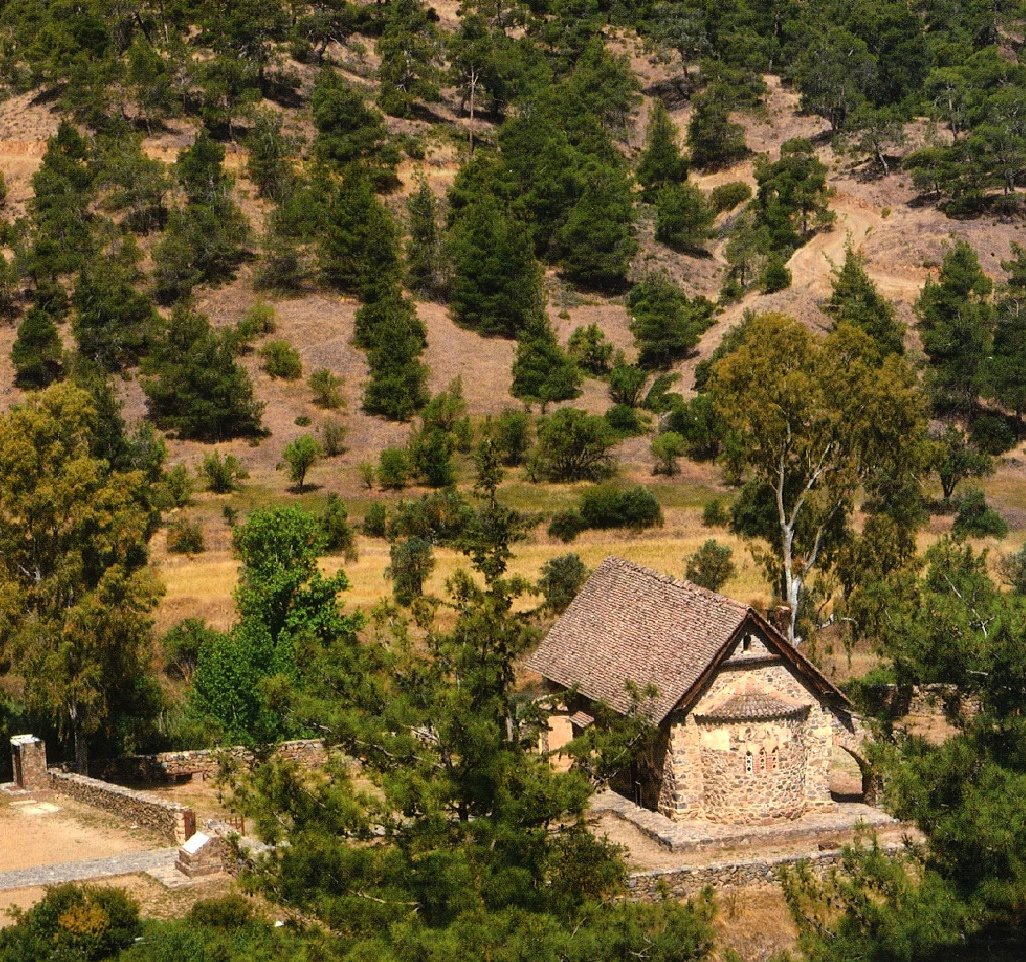 13662651_10208738705216380_268284400_o