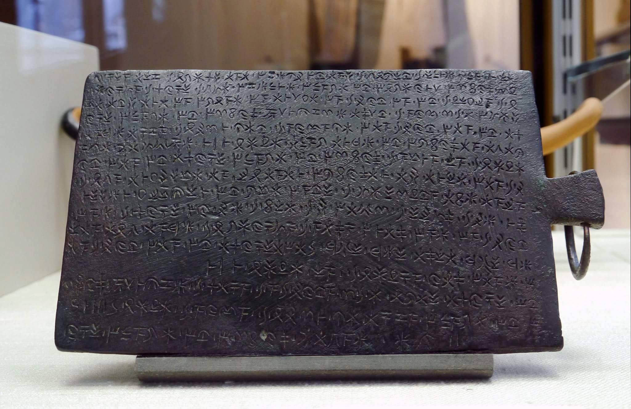 14489039_10209261967977622_1925486057_o