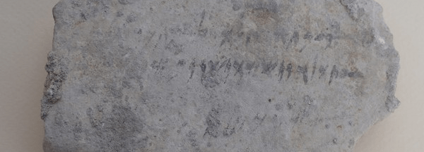 Excavations at ancient Kition: results of the 2021&nbsp;campaign