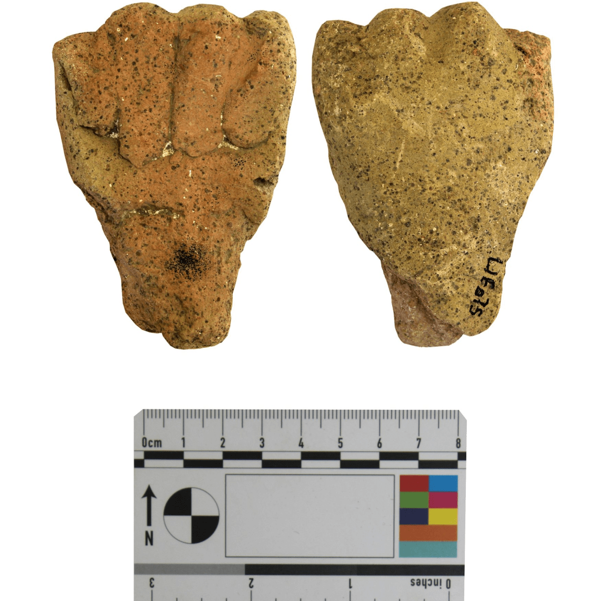 «Life at the Furnace» project: completion 
of the 2025&nbsp;campaign