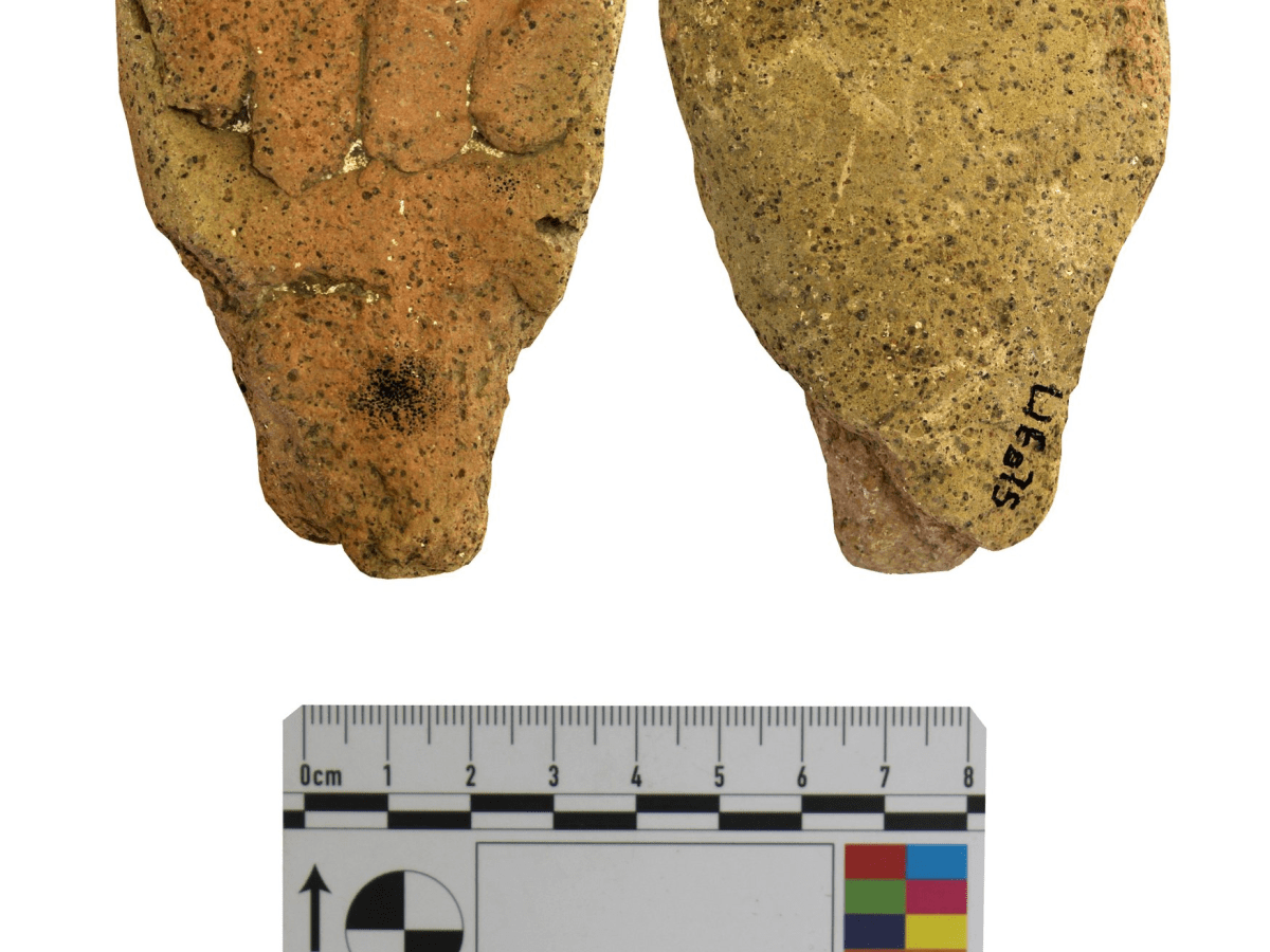 «Life at the Furnace» project: completion 
of the 2025&nbsp;campaign