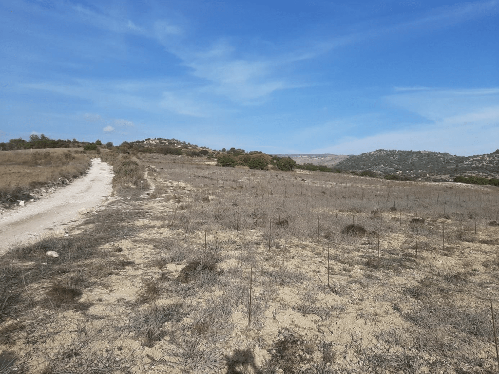 The Graz Amargeti Survey Project,&nbsp;2025